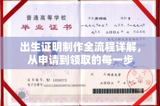太白出生证明制作全流程详解，从申请到领取的每一步