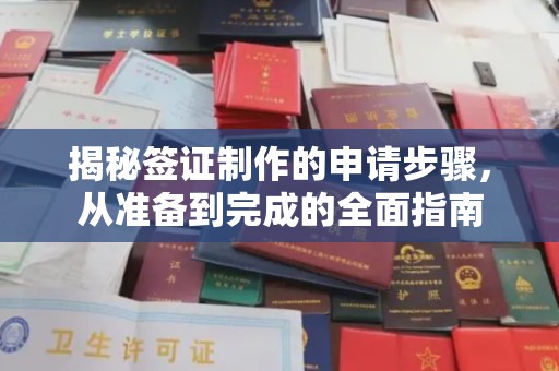 太白揭秘签证制作的申请步骤，从准备到完成的全面指南