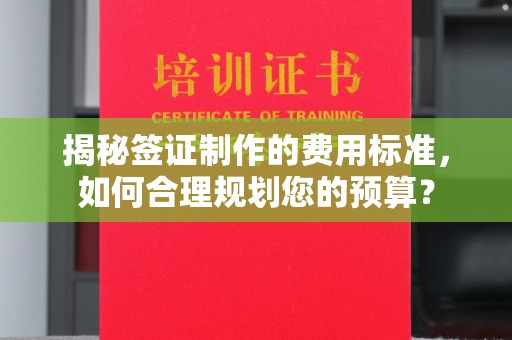 太白揭秘签证制作的费用标准，如何合理规划您的预算？