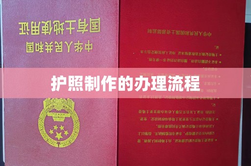 太白护照制作的办理流程